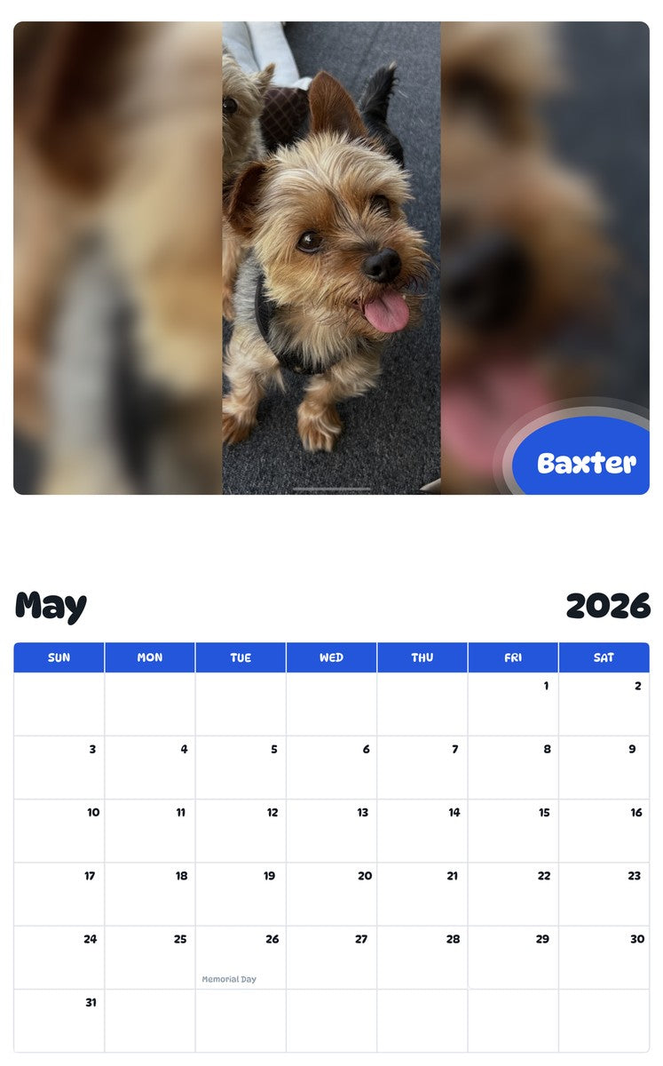 2026 - 2027 Baxter - Pawidols Pet Calendar