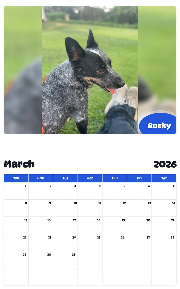 November 2025 - October 2026 Rocky - Pawidols Pet Calendar