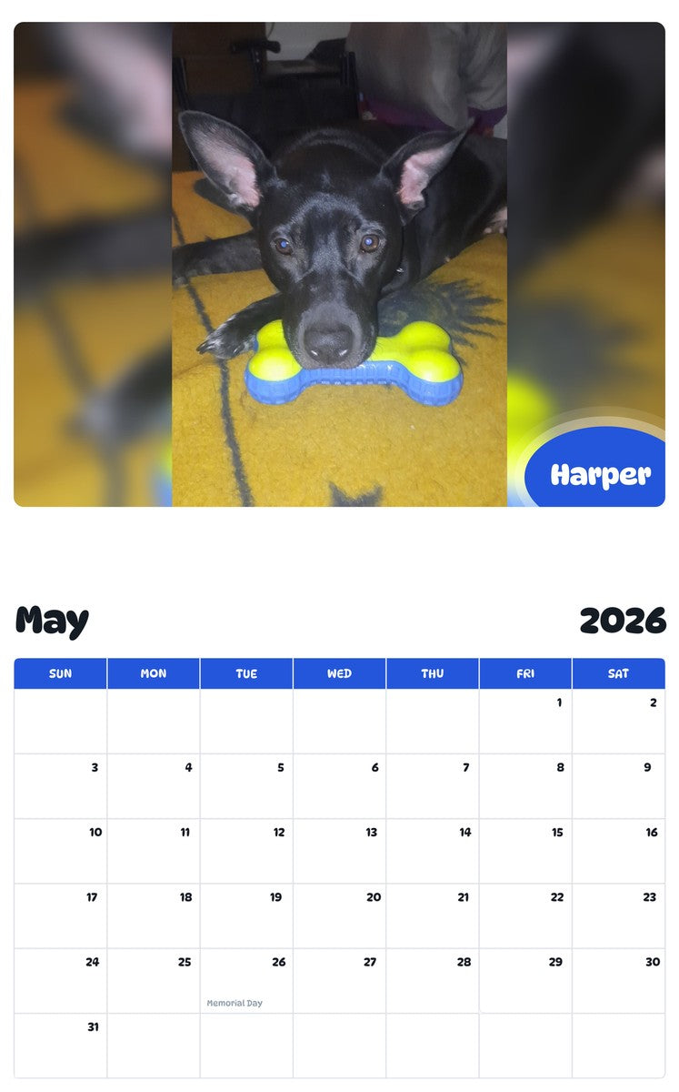 2026 - 2027 Harper - Pawidols Pet Calendar