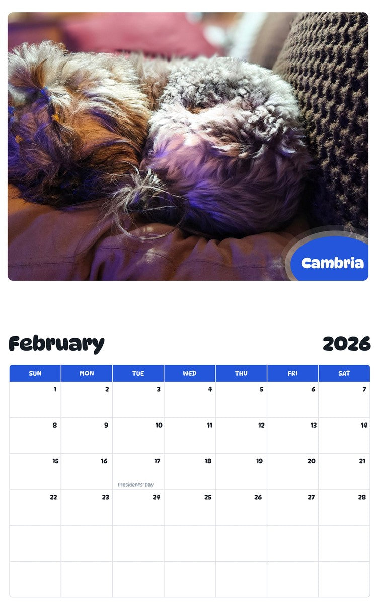 November 2025 - October 2026 Cambria - Pawidols Pet Calendar