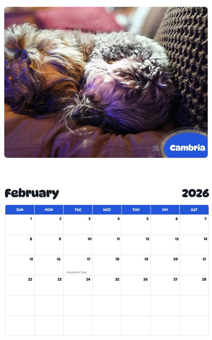 November 2025 - October 2026 Cambria - Pawidols Pet Calendar