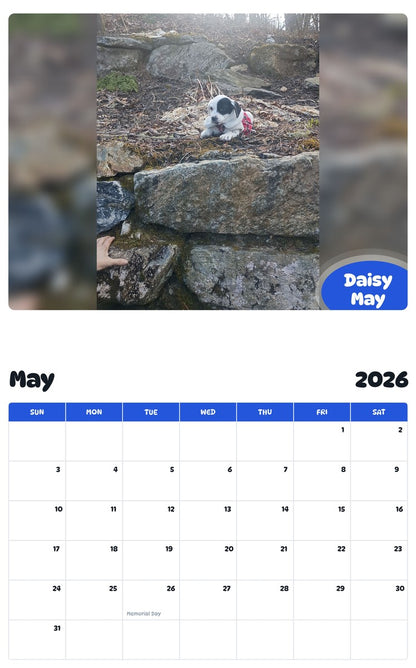 2026 - 2027 Daisy May - Pawidols Pet Calendar