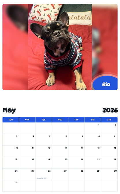 2026 - 2027 Rio - Pawidols Pet Calendar