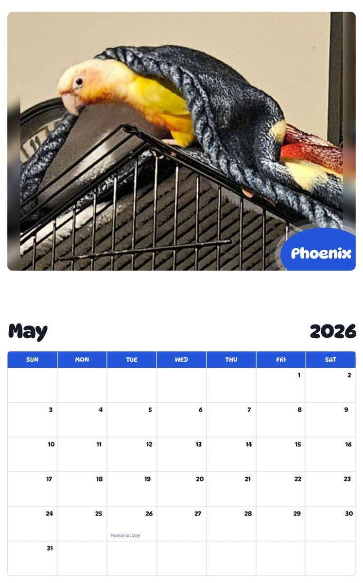 2026 - 2027 Phoenix - Pawidols Pet Calendar