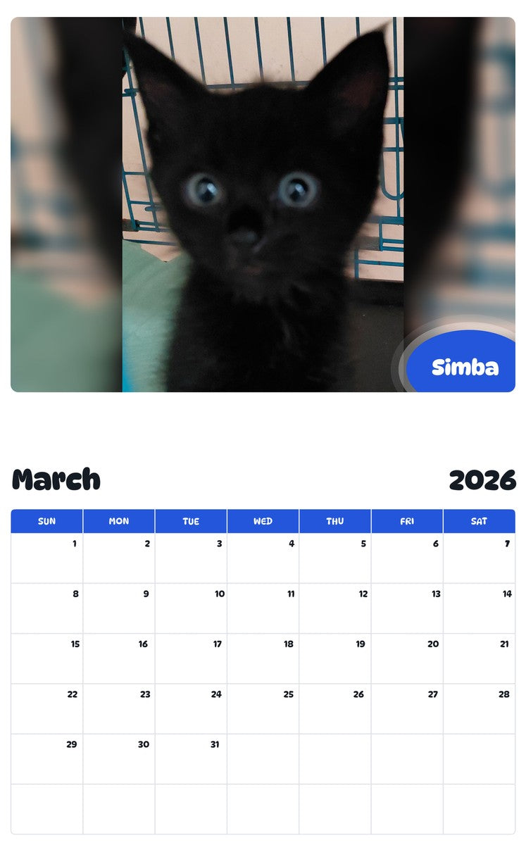 November 2025 - October 2026 Simba - Pawidols Pet Calendar