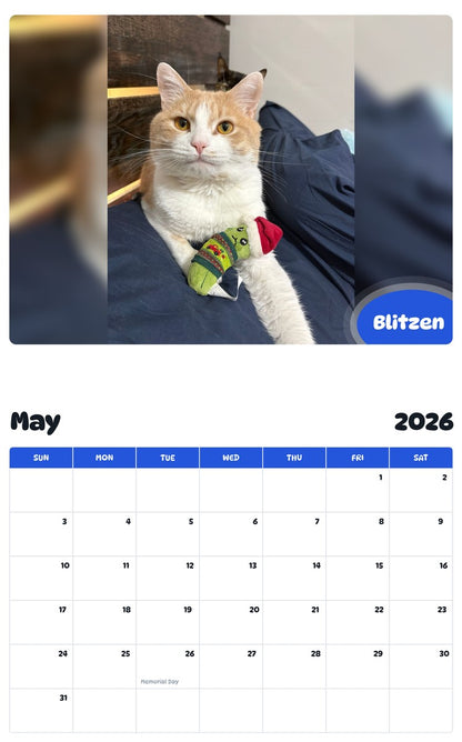 2026 - 2027 Blitzen - Pawidols Pet Calendar