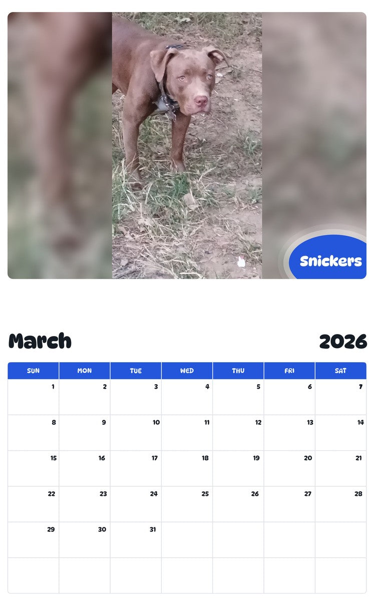 November 2025 - October 2026 Snickers - Pawidols Pet Calendar