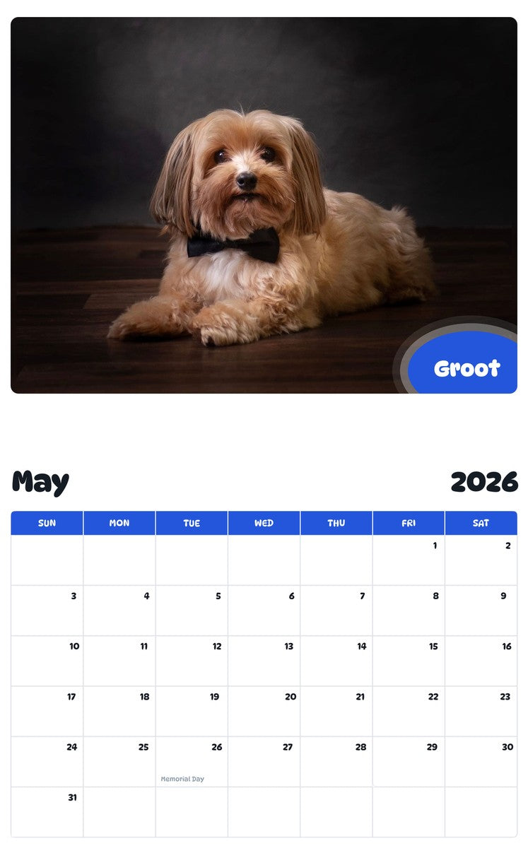 2026 - 2027 Groot - Pawidols Pet Calendar