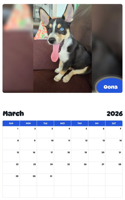 November 2025 - October 2026 Oona - Pawidols Pet Calendar