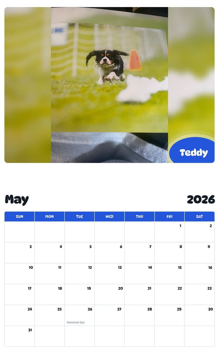 2026 - 2027 Teddy - Pawidols Pet Calendar