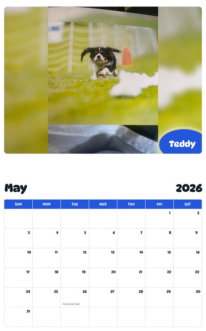 2026 - 2027 Teddy - Pawidols Pet Calendar
