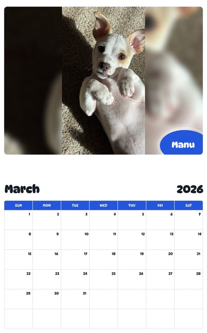 November 2025 - October 2026 Manu - Pawidols Pet Calendar