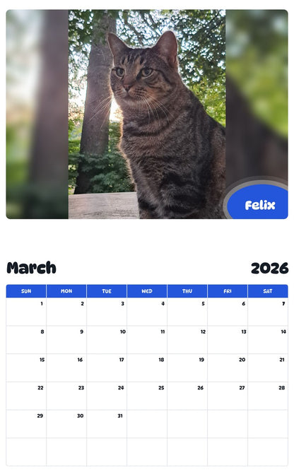 November 2025 - October 2026 Felix - Pawidols Pet Calendar