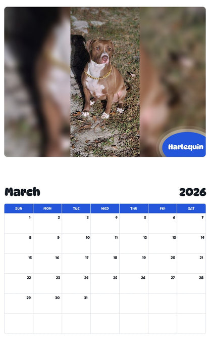 November 2025 - October 2026 Harlequin - Pawidols Pet Calendar