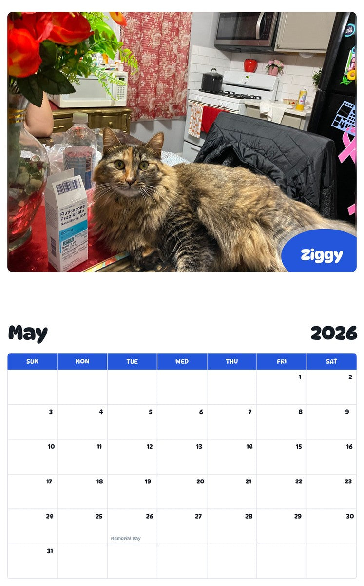 2026 - 2027 Ziggy - Pawidols Pet Calendar
