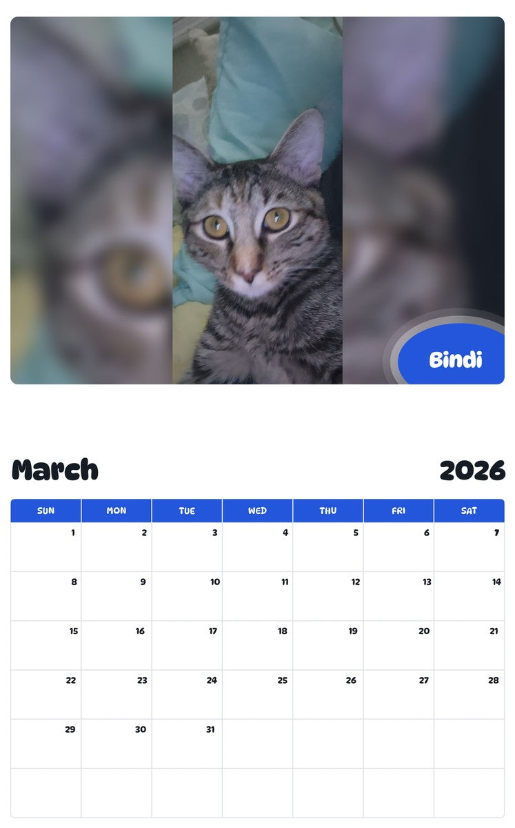 November 2025 - October 2026 Bindi - Pawidols Pet Calendar