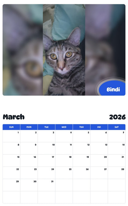 November 2025 - October 2026 Bindi - Pawidols Pet Calendar