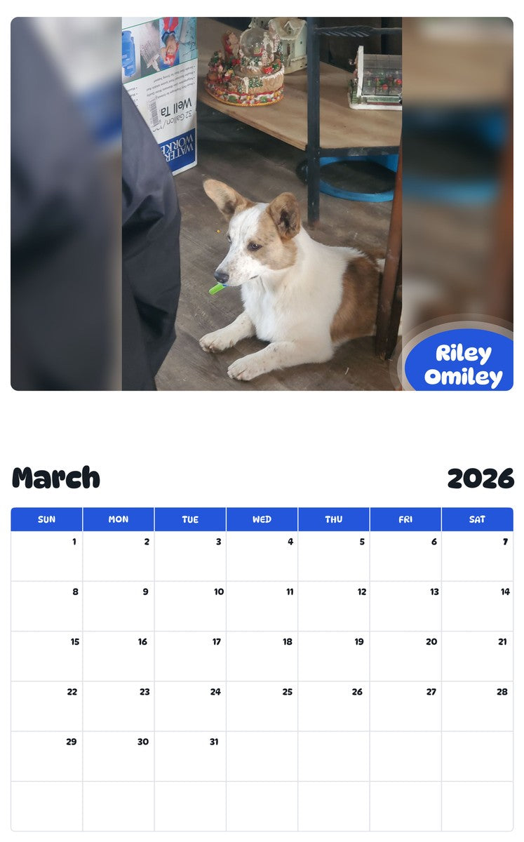 November 2025 - October 2026 Riley Omiley - Pawidols Pet Calendar