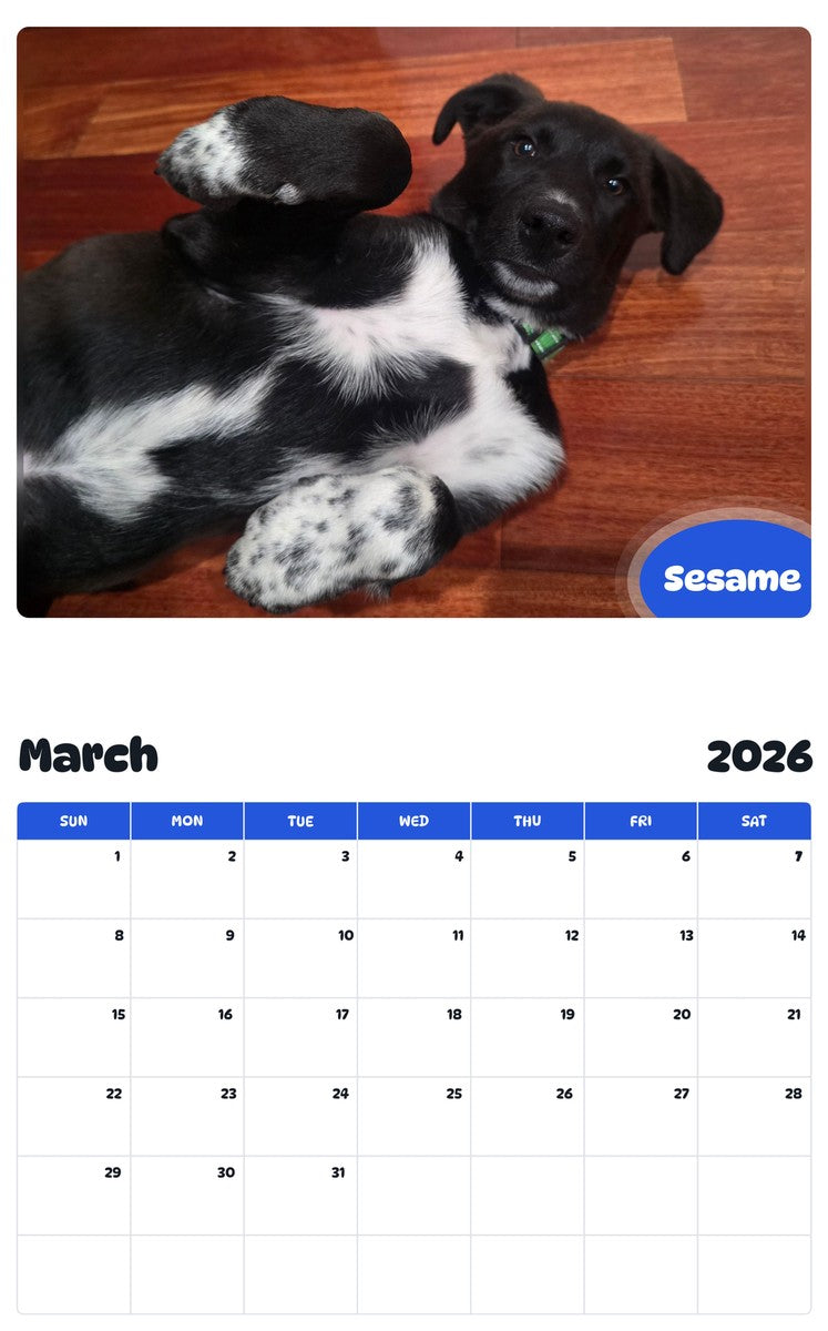 November 2025 - October 2026 Sesame - Pawidols Pet Calendar