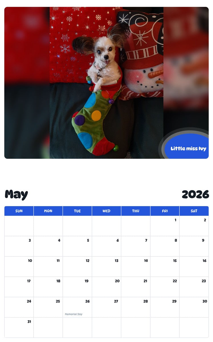 2026 - 2027 Little miss Ivy - Pawidols Pet Calendar