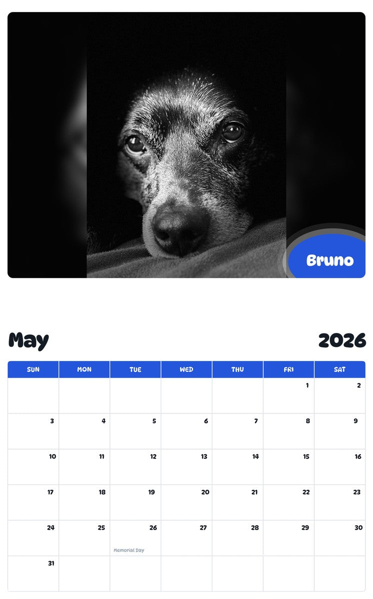2026 - 2027 Bruno - Pawidols Pet Calendar
