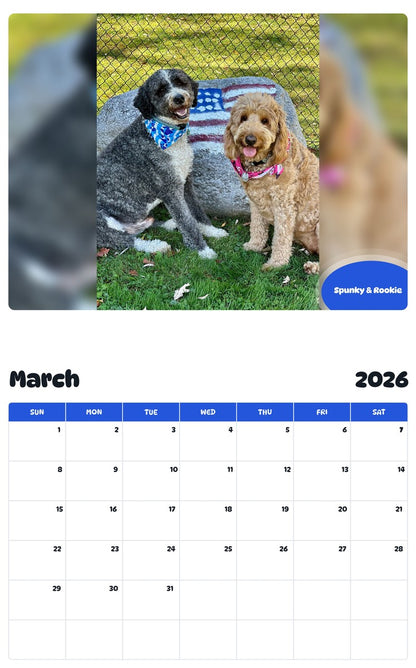 November 2025 - October 2026 Spunky & Rookie - Pawidols Pet Calendar