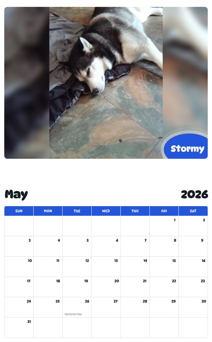 2026 - 2027 Stormy - Pawidols Pet Calendar