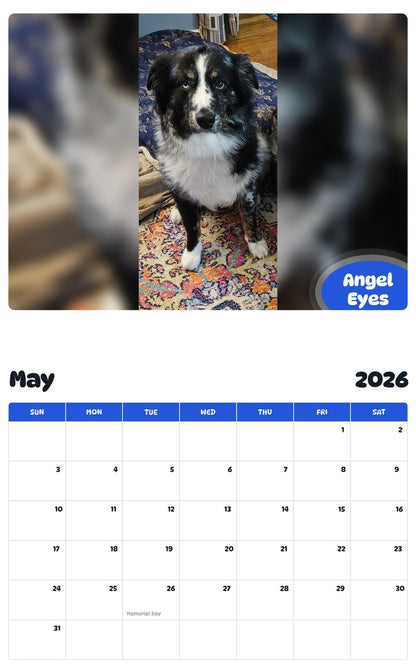2026 - 2027 Angel Eyes - Pawidols Pet Calendar