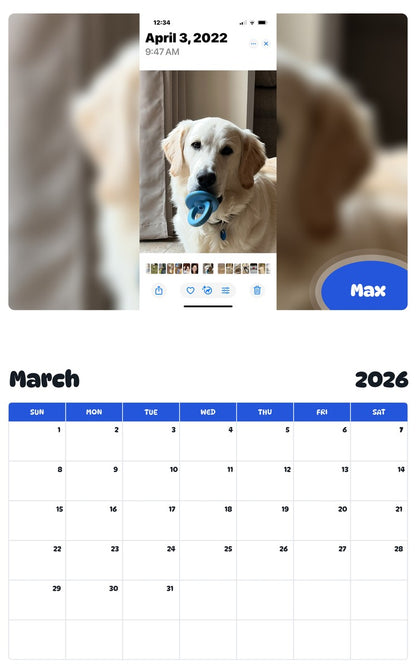 November 2025 - October 2026 Max - Pawidols Pet Calendar