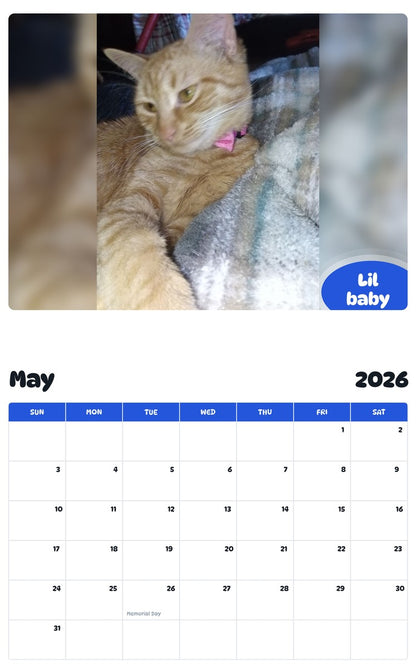 2026 - 2027 Lil baby - Pawidols Pet Calendar