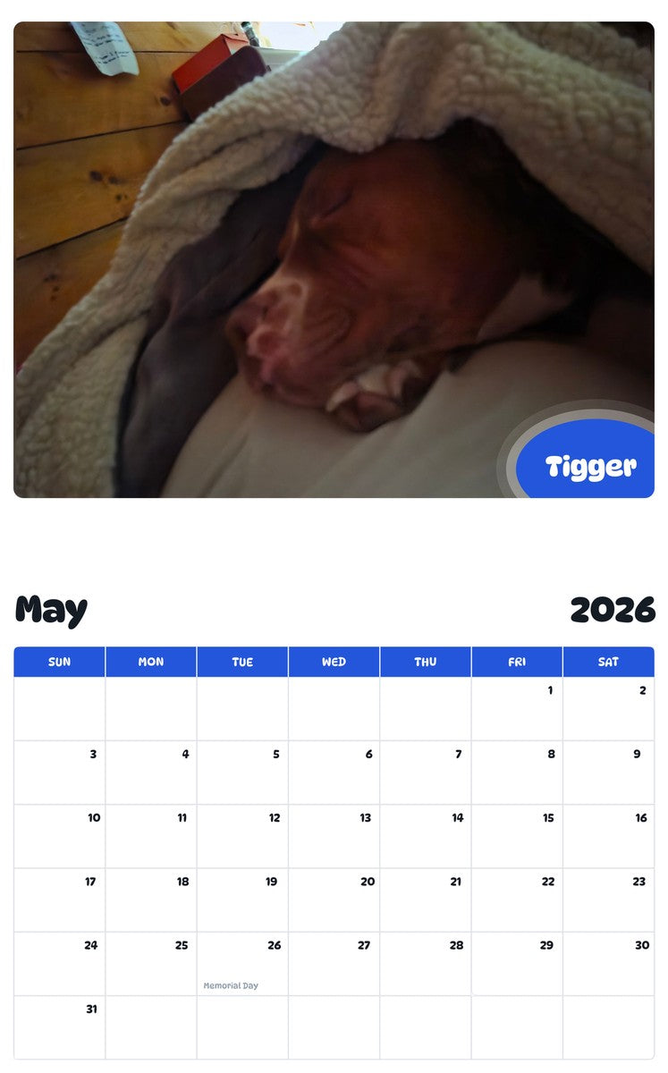 2026 - 2027 Tigger - Pawidols Pet Calendar