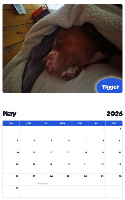 2026 - 2027 Tigger - Pawidols Pet Calendar
