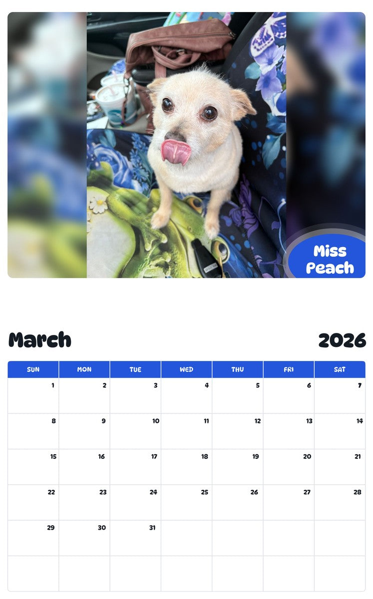 November 2025 - October 2026 Miss Peach - Pawidols Pet Calendar