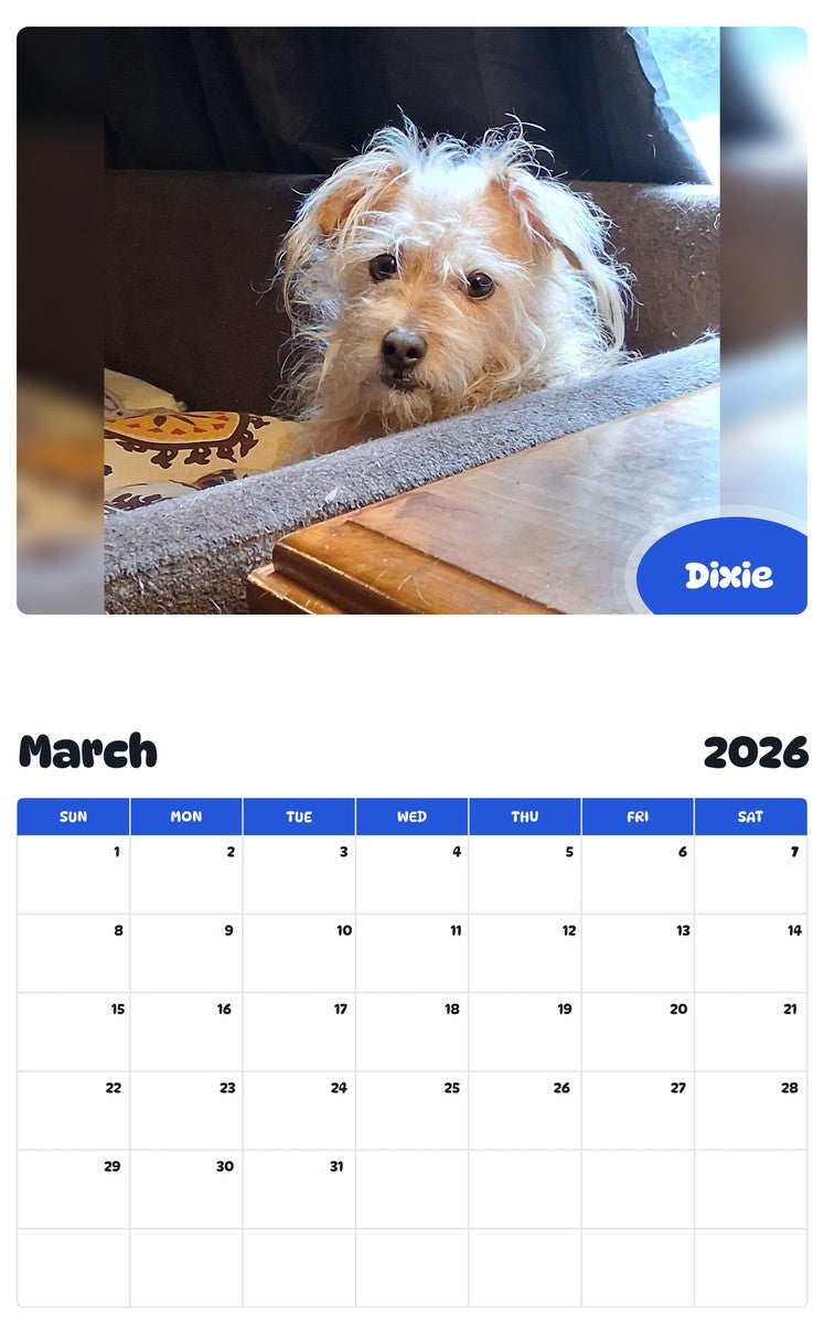 November 2025 - October 2026 Dixie - Pawidols Pet Calendar