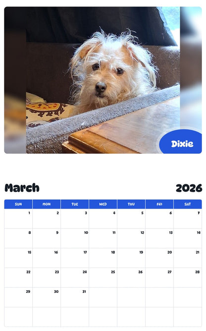 November 2025 - October 2026 Dixie - Pawidols Pet Calendar