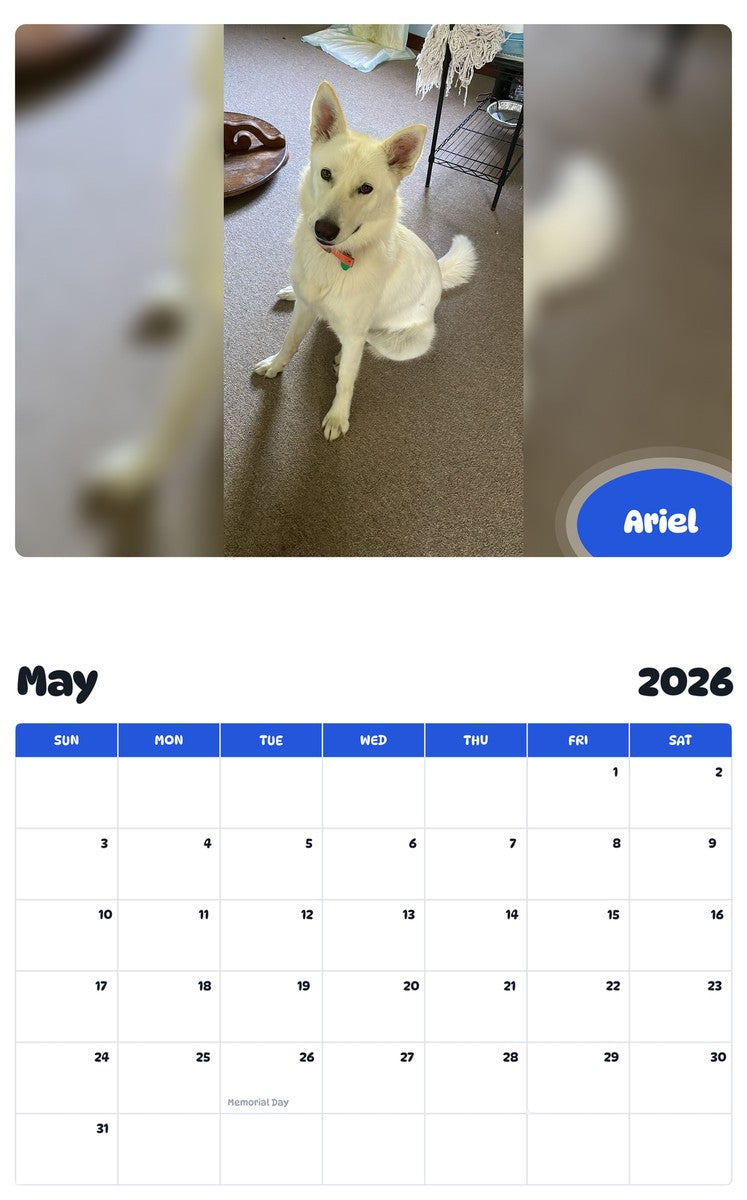 2026 - 2027 Ariel - Pawidols Pet Calendar