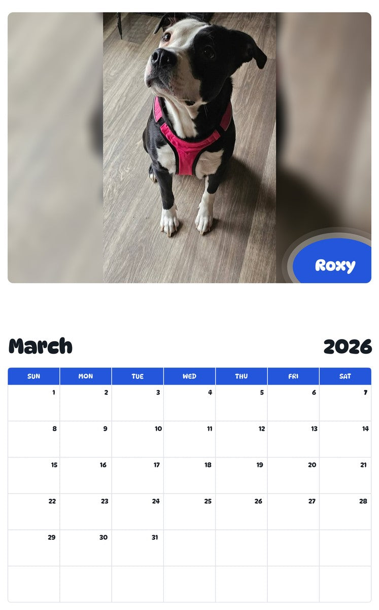 November 2025 - October 2026 Roxy - Pawidols Pet Calendar
