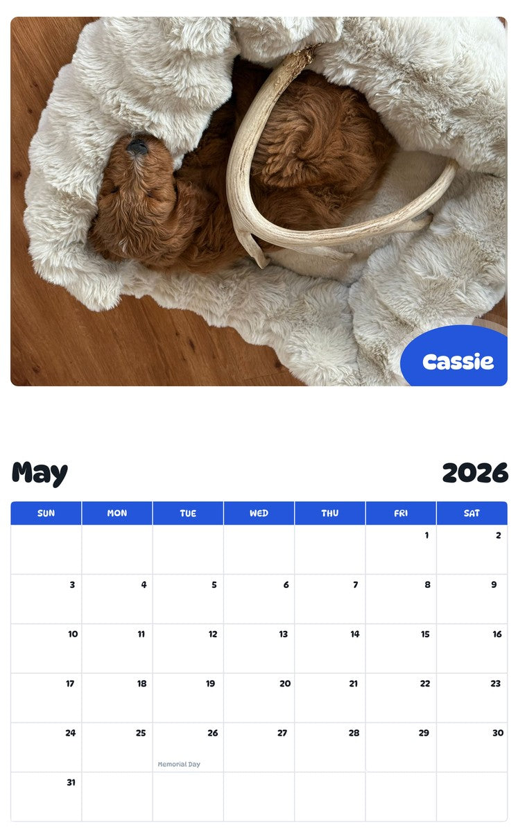 2026 - 2027 Cassie - Pawidols Pet Calendar