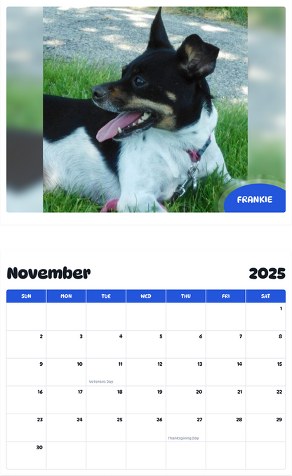 July 2025 - June 2026 Frankie - Pawidols Pet Calendar