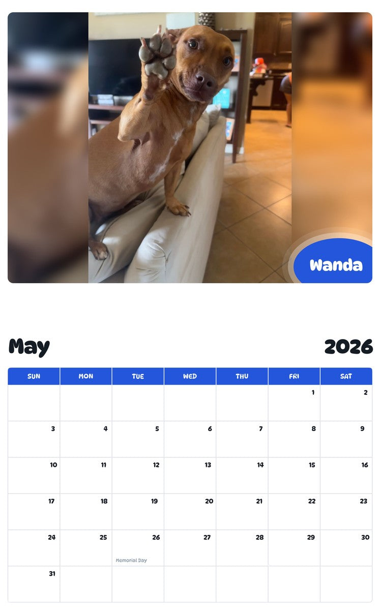 2026 - 2027 Wanda - Pawidols Pet Calendar