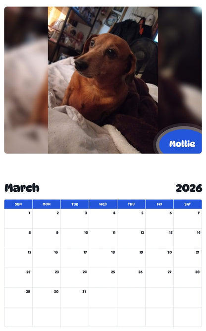 November 2025 - October 2026 Mollie - Pawidols Pet Calendar