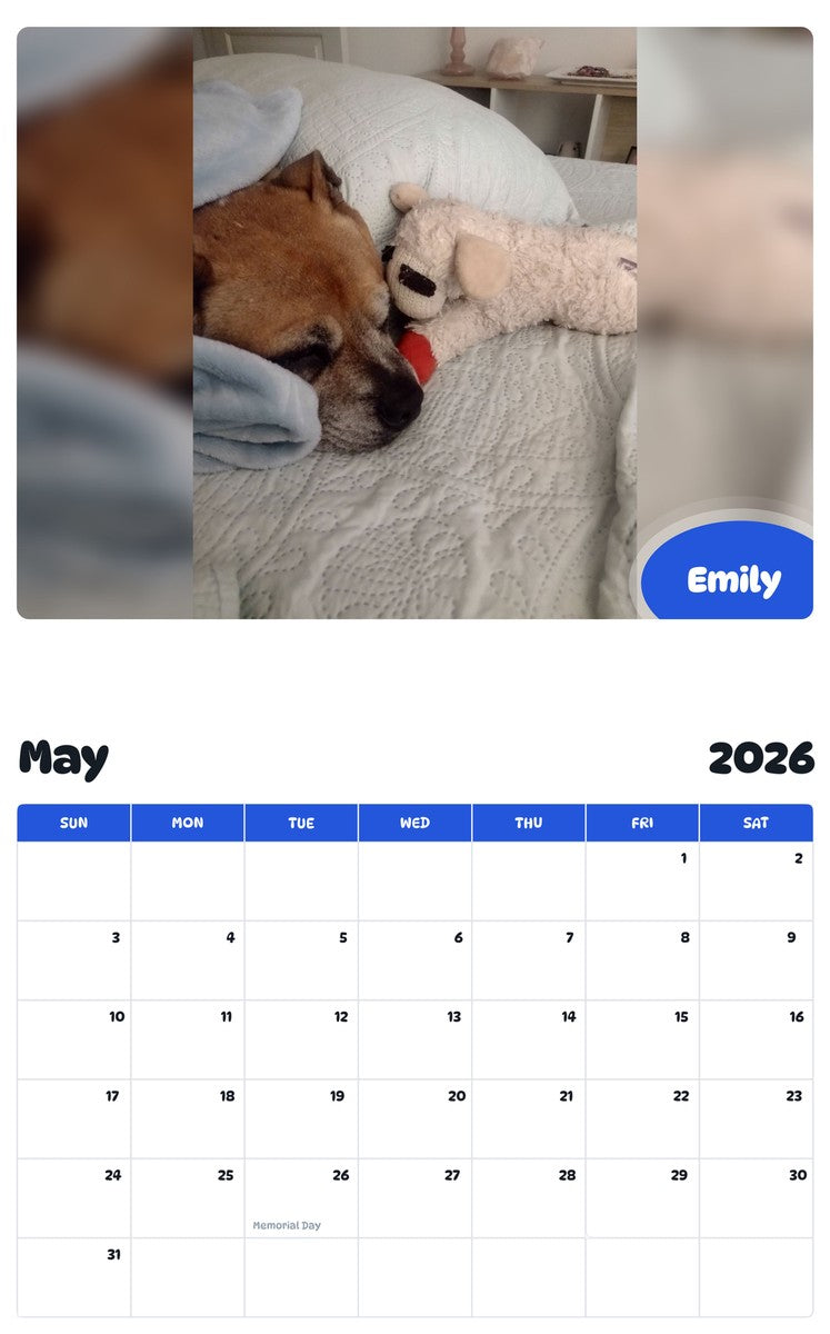 2026 - 2027 Emily - Pawidols Pet Calendar