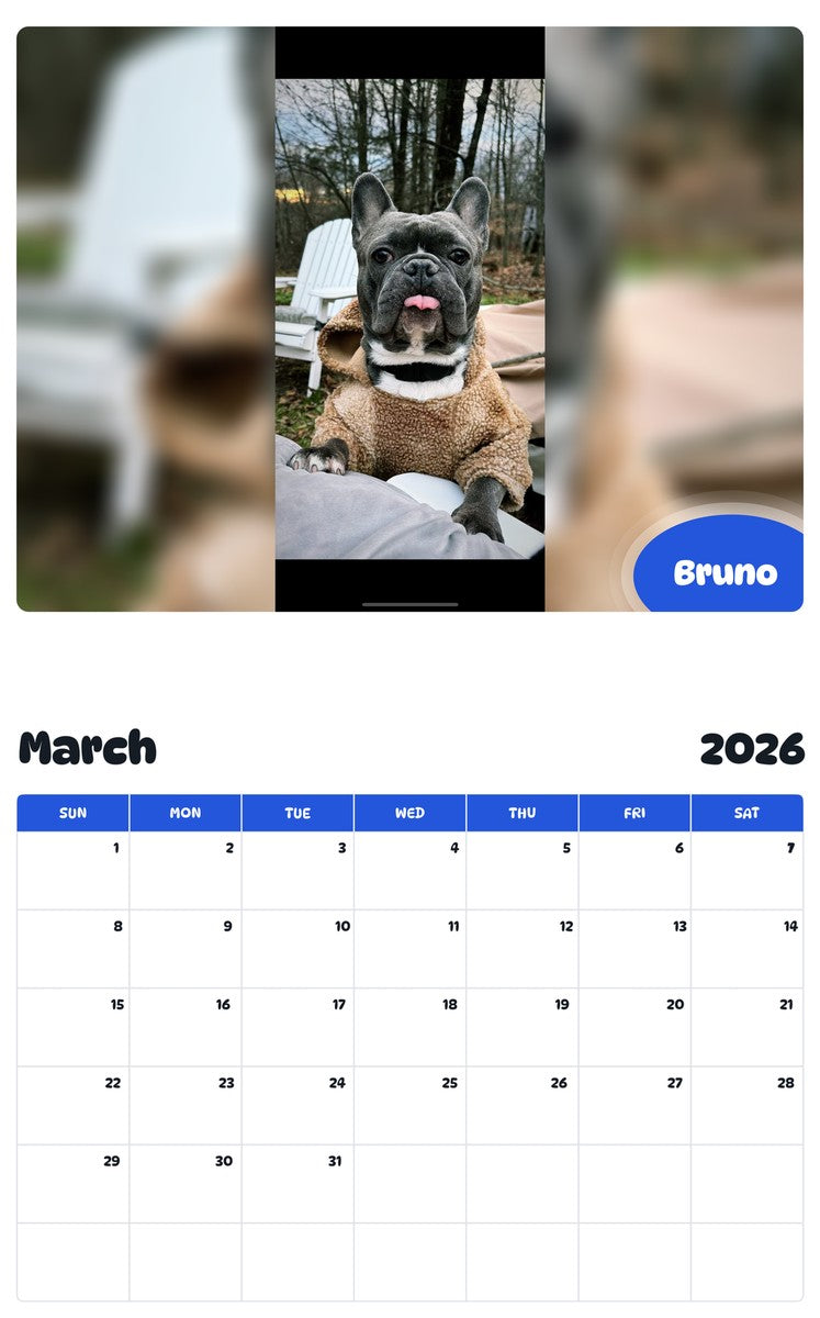 November 2025 - October 2026 Bruno - Pawidols Pet Calendar