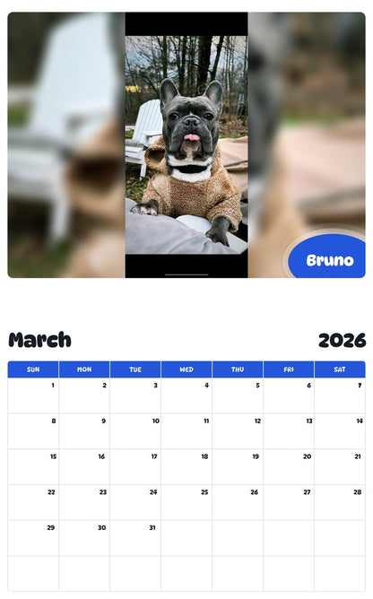 November 2025 - October 2026 Bruno - Pawidols Pet Calendar
