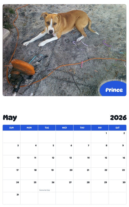 2026 - 2027 Prince - Pawidols Pet Calendar