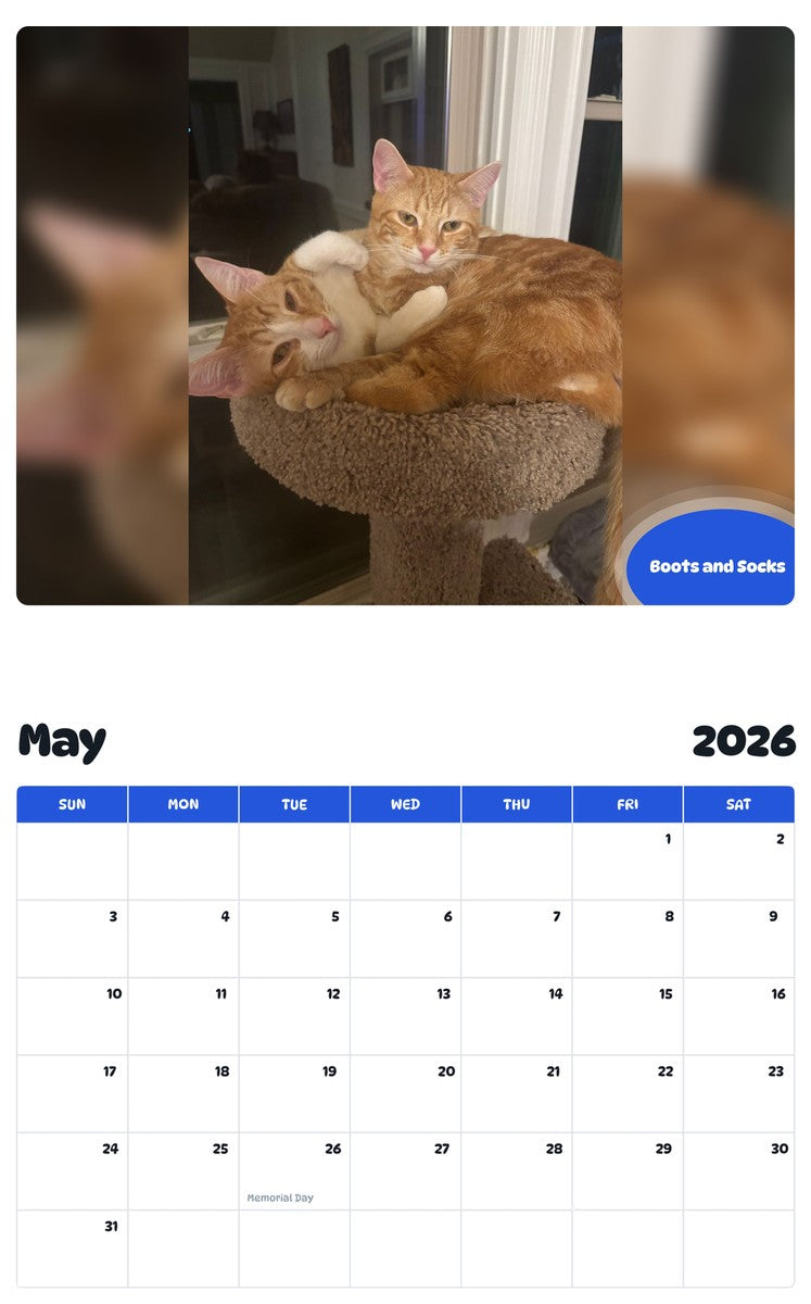 2026 - 2027 Boots and Socks - Pawidols Pet Calendar