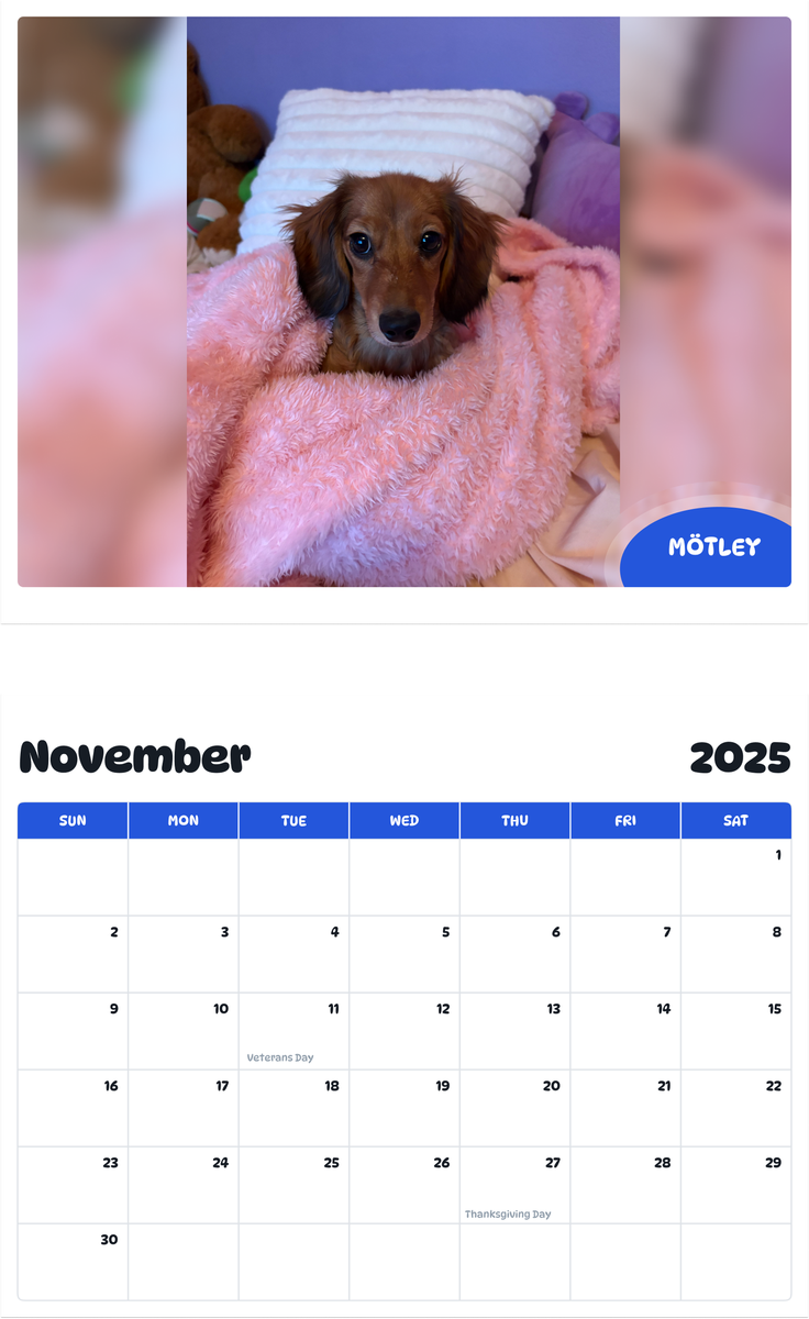 July 2025 - June 2026 Mötley - Pawidols Pet Calendar