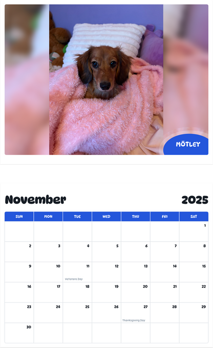 July 2025 - June 2026 Mötley - Pawidols Pet Calendar