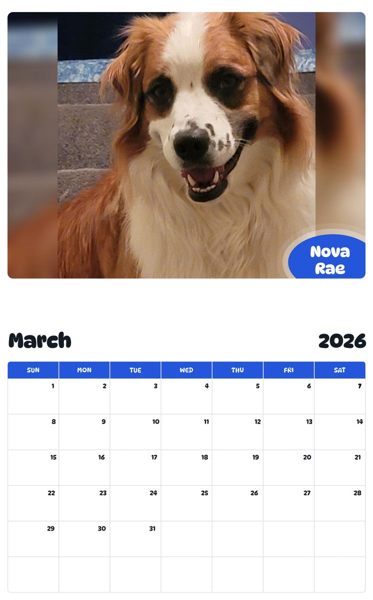 November 2025 - October 2026 Nova Rae - Pawidols Pet Calendar