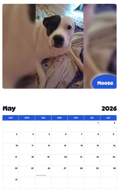 2026 - 2027 Moose - Pawidols Pet Calendar